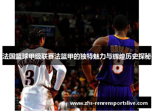 法国篮球甲级联赛法篮甲的独特魅力与辉煌历史探秘